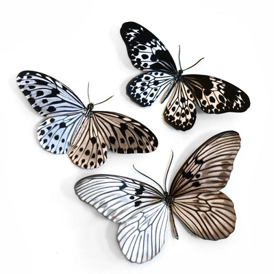 Marble Paper Butterfly set