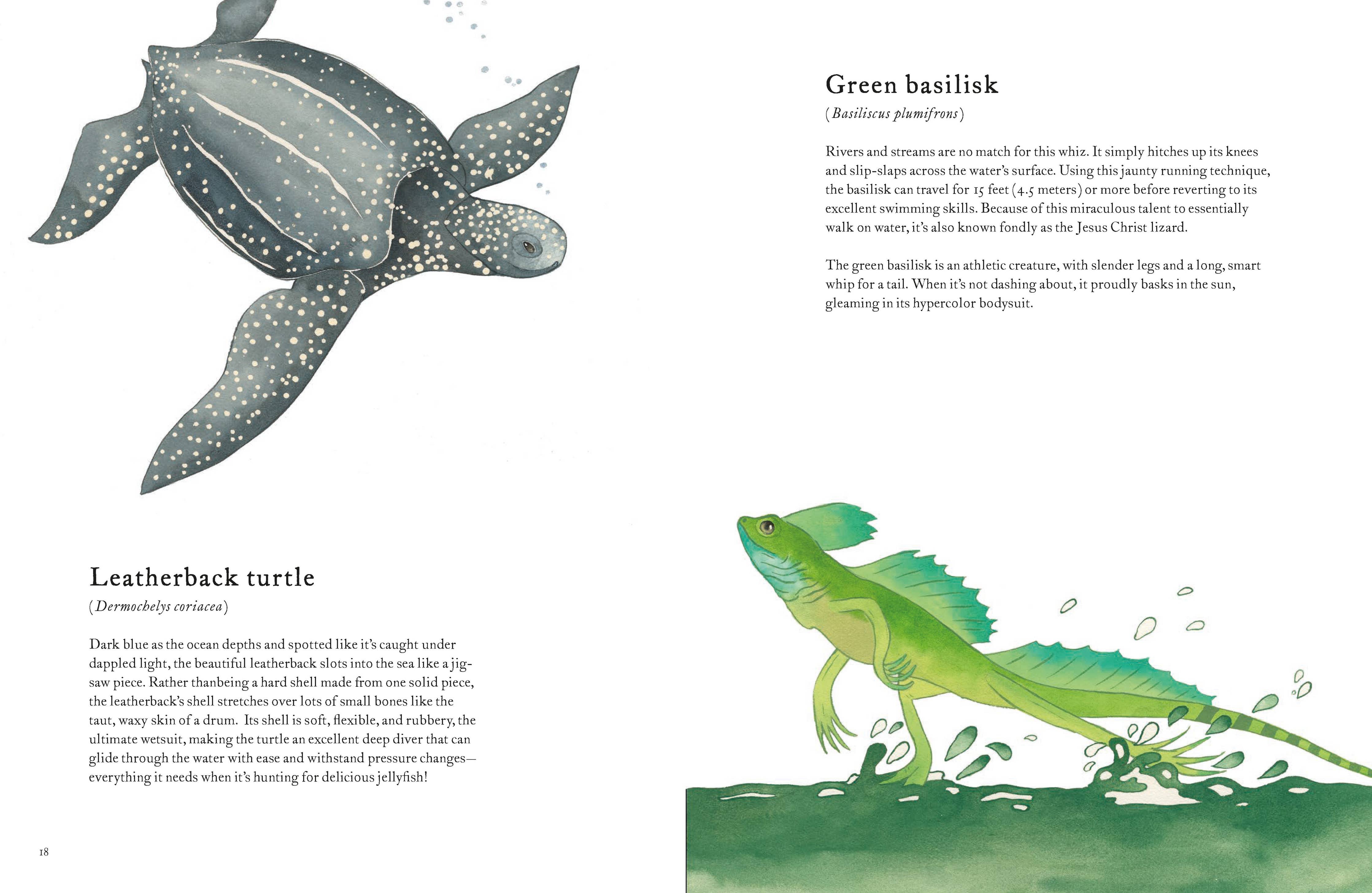 Colorful World of Reptiles Book
