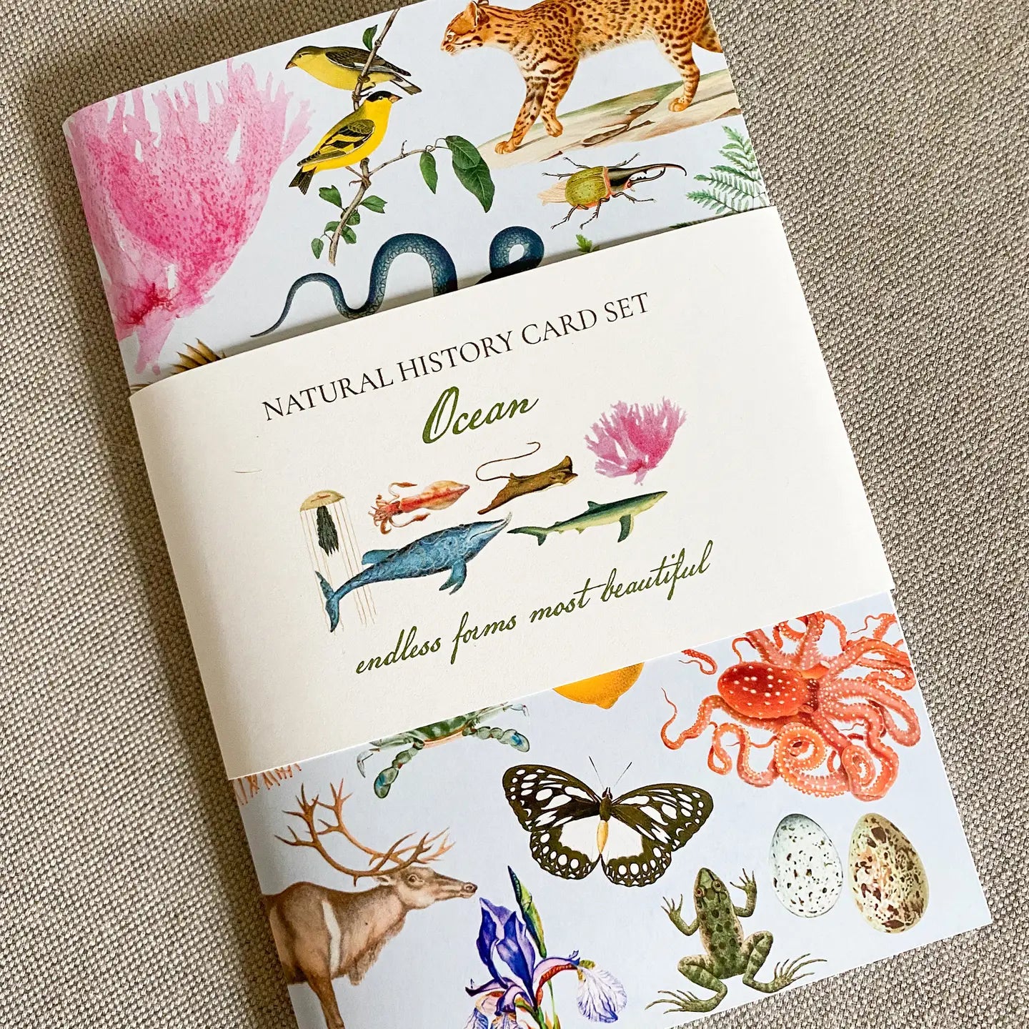 Ocean History Card Pack