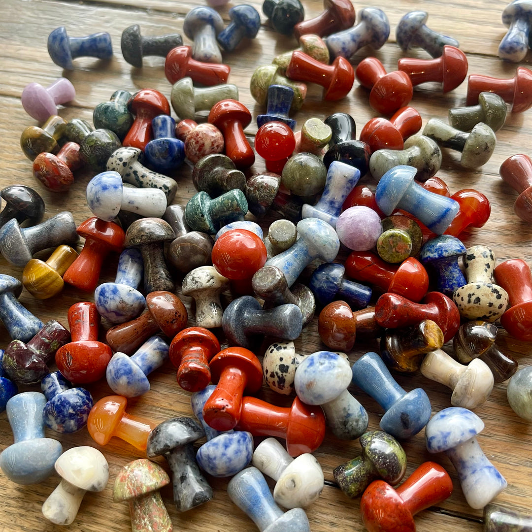 Mystery Crystal Mushrooms