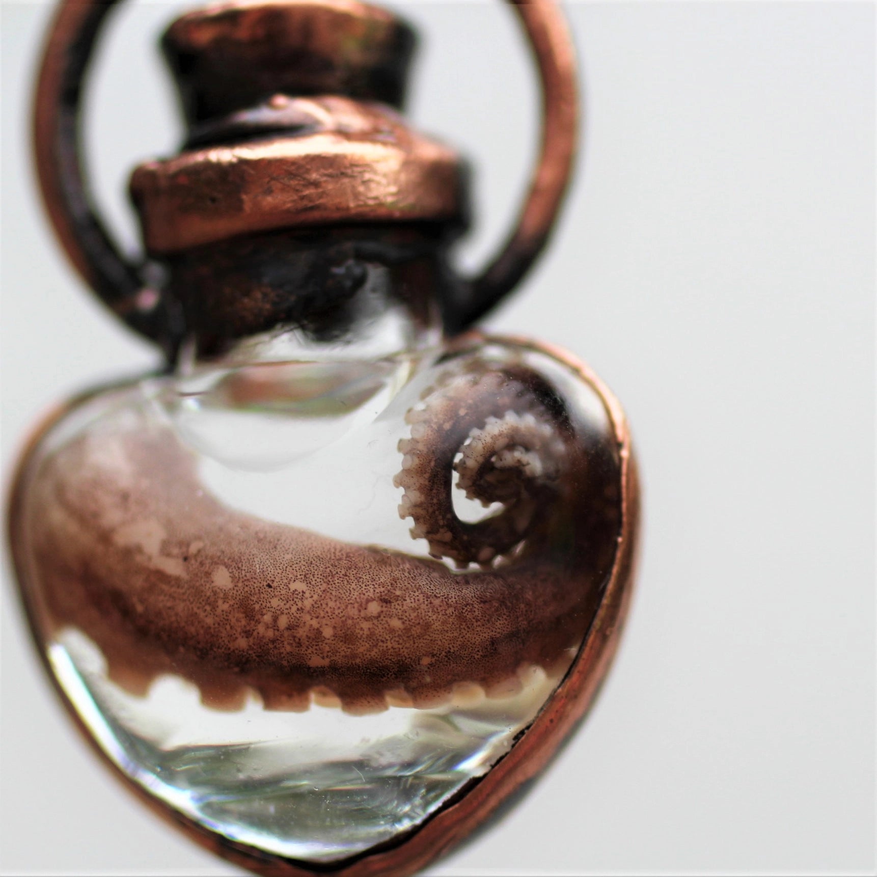 Octopus Tentacle Wet Specimen Necklace