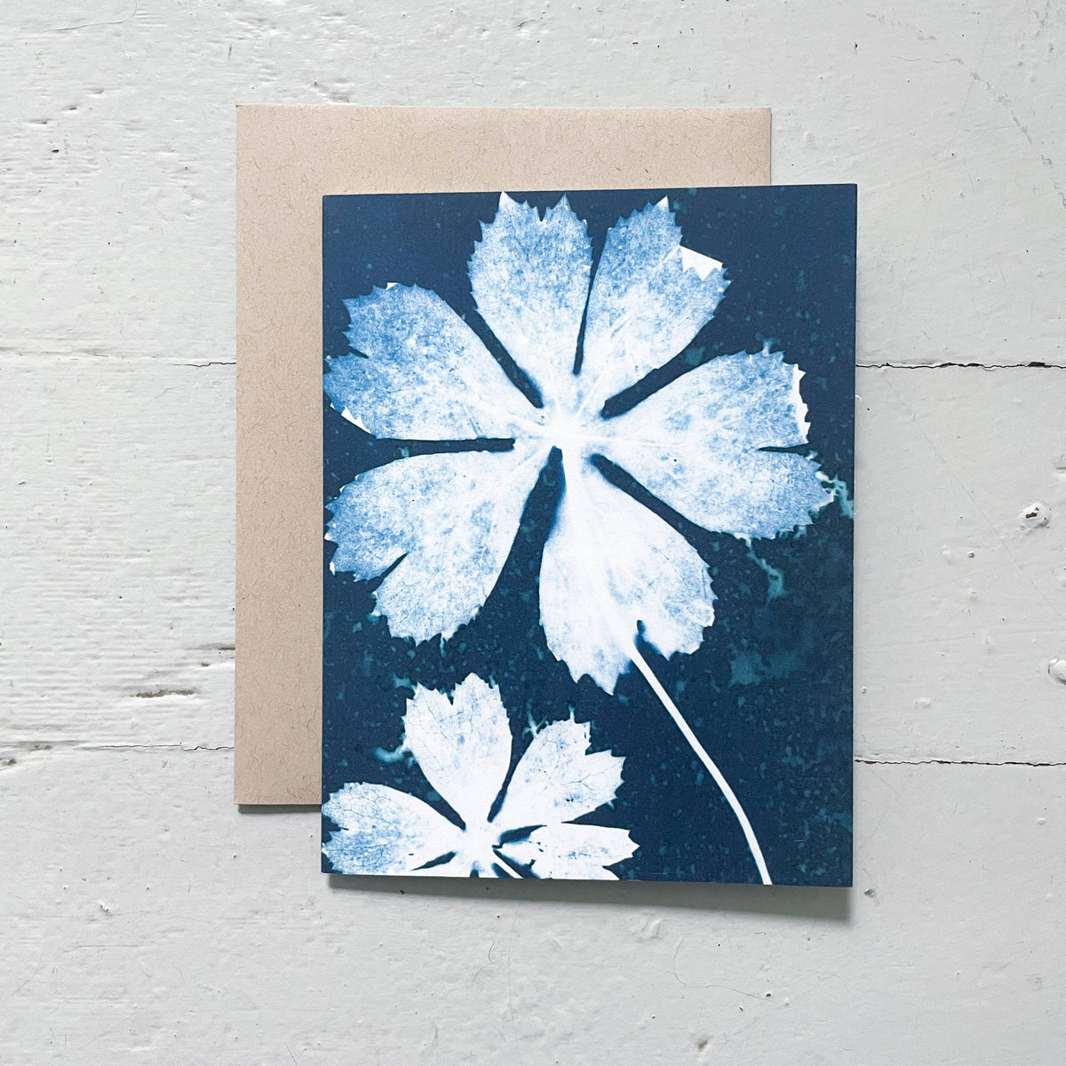 Slow Mornings - Botanical Cyanotype Cards Boxed Set