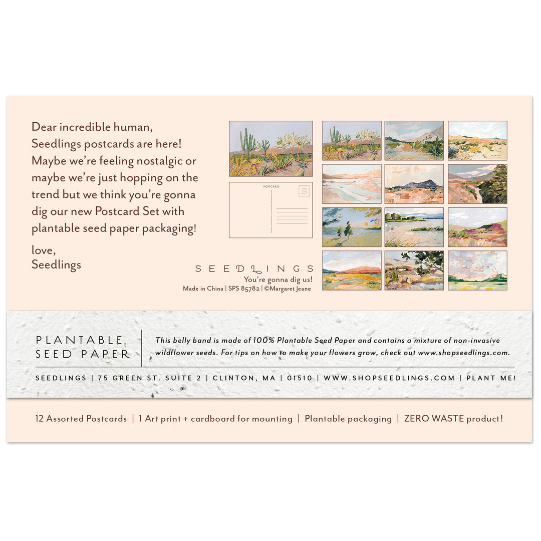 Cactus Seedlings Postcard Set