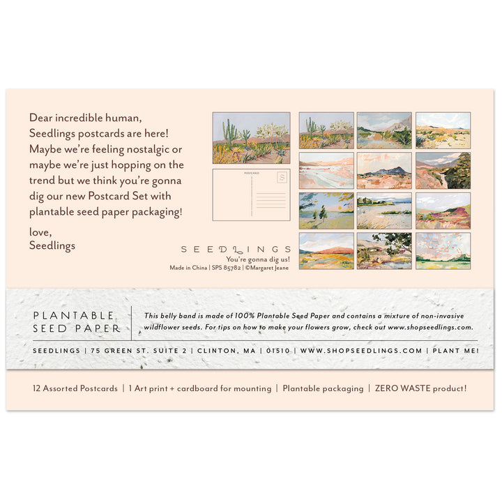 Cactus Seedlings Postcard Set