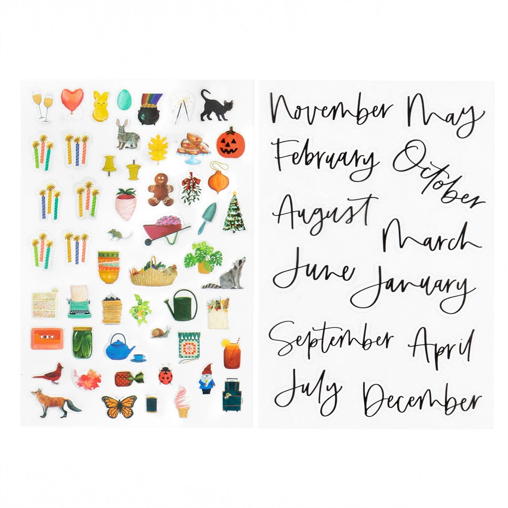 Clio Petitie Undated Planner