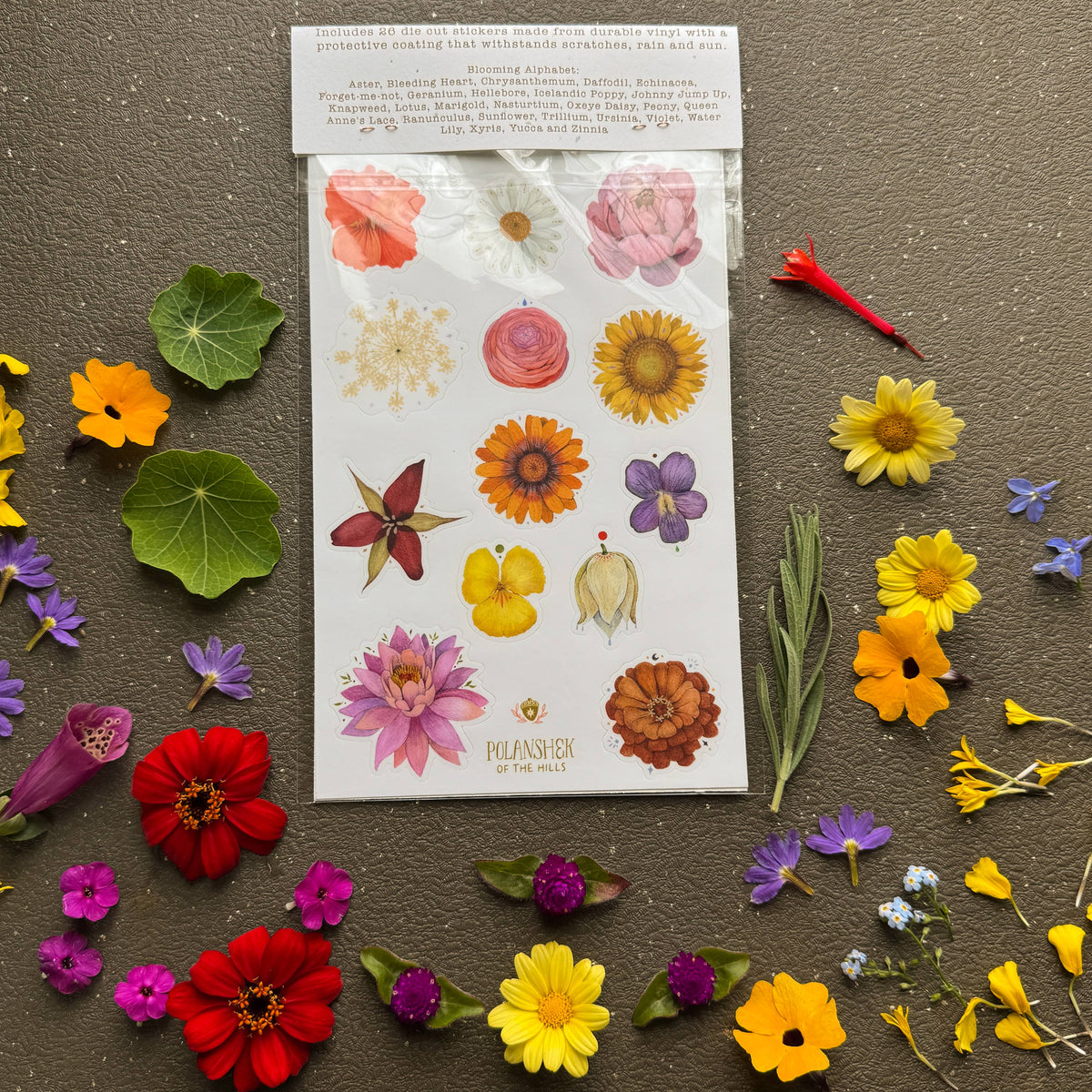 Blooming Alphabet Sticker Sheet Set
