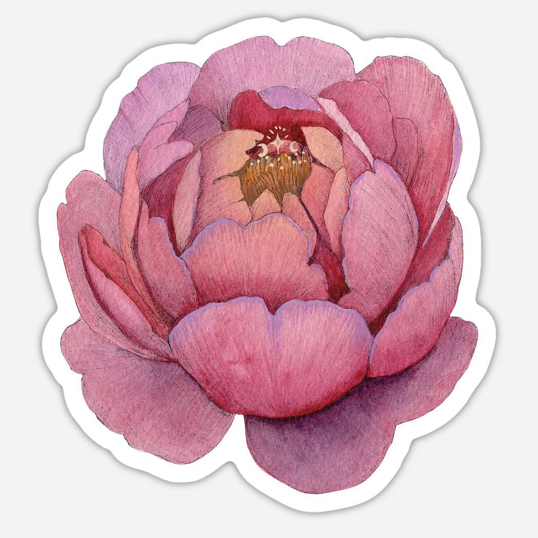 Peony Sticker