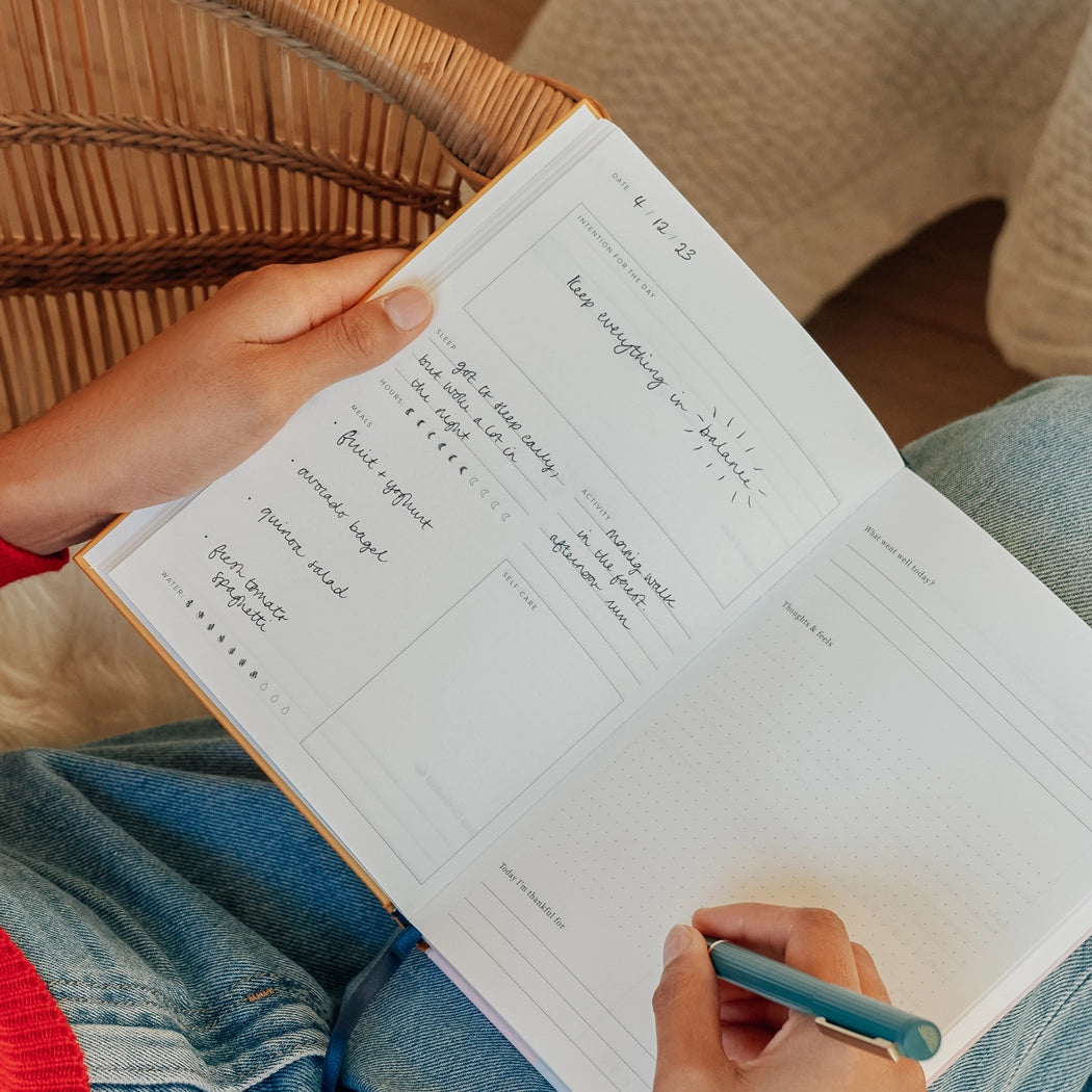 Fairy Flies Guided Wellness Journal