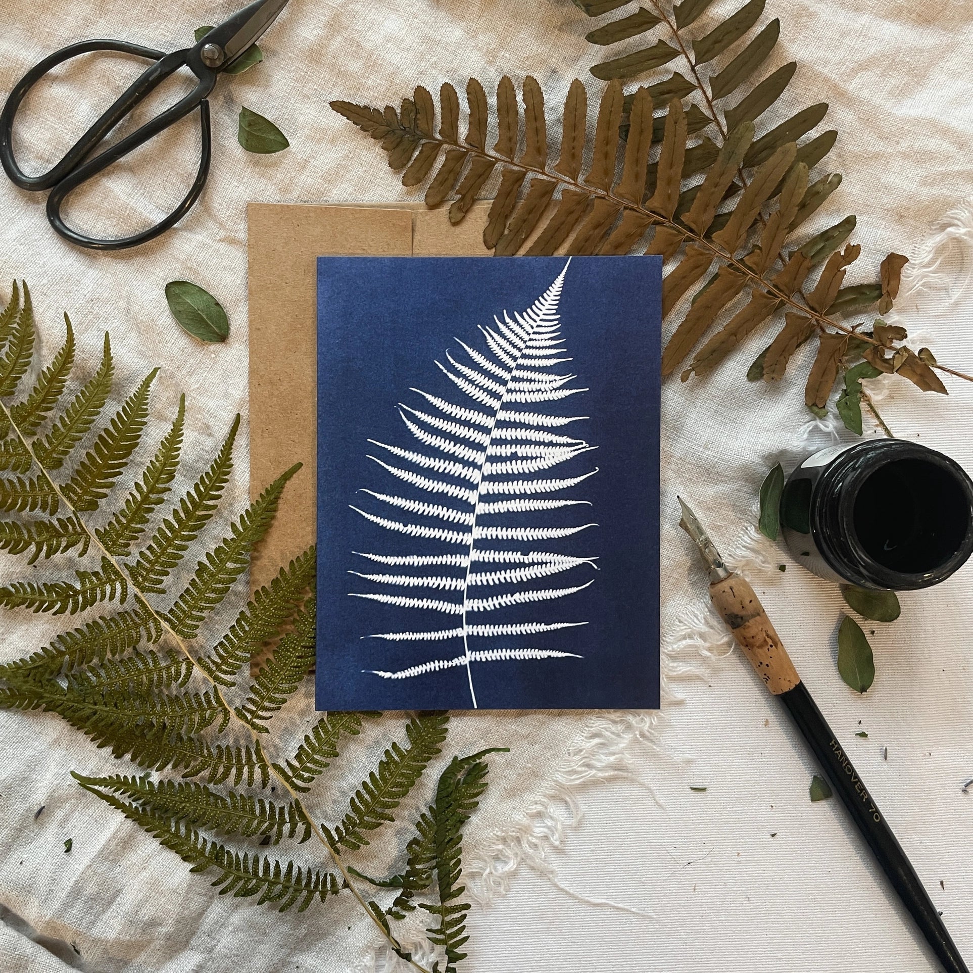 Ferns - Botanical Cyanotype Cards Boxed Set