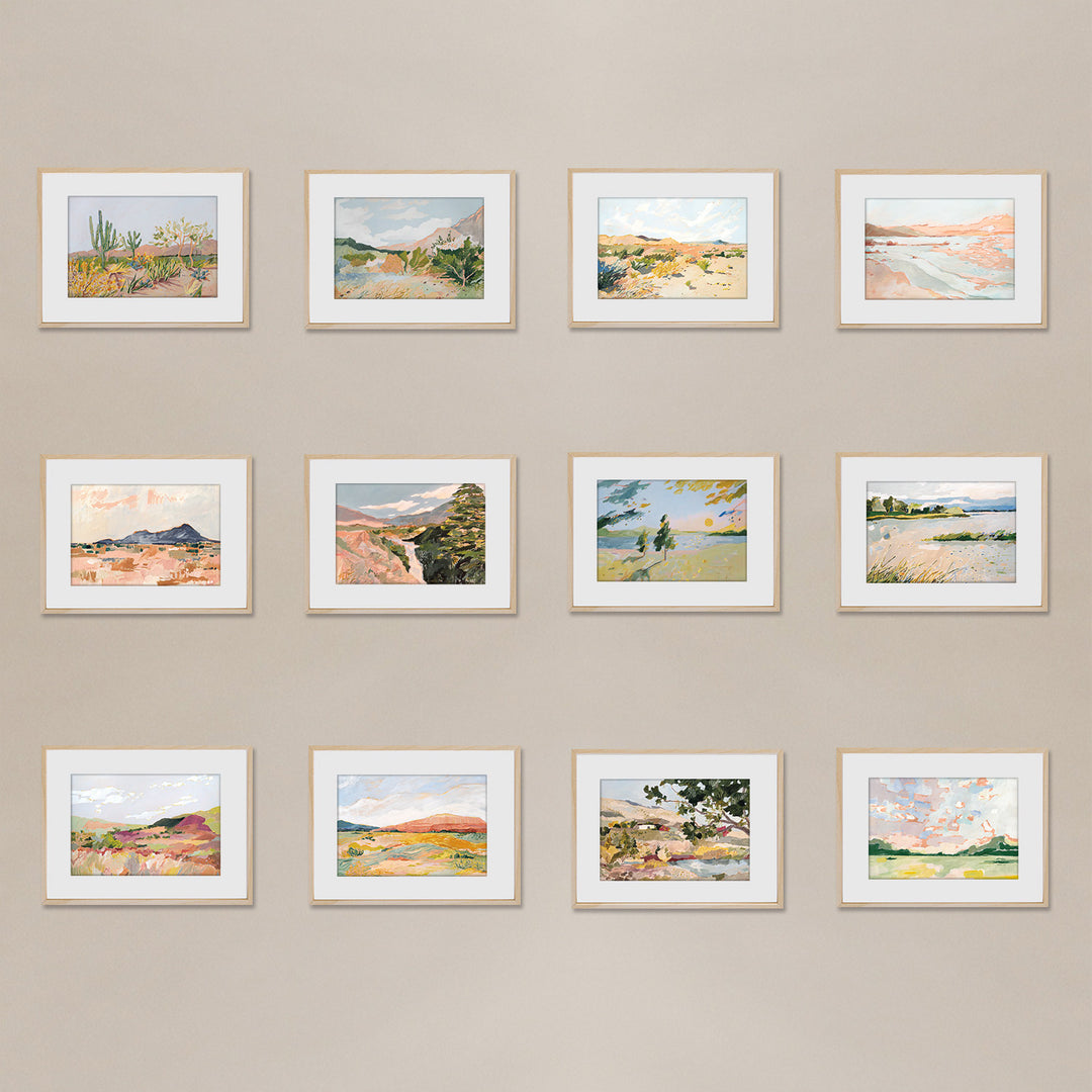 Cactus Seedlings Postcard Set