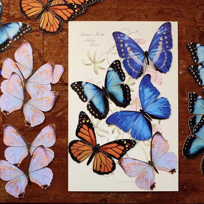 Morphos and Monarch Paper Butterfly set