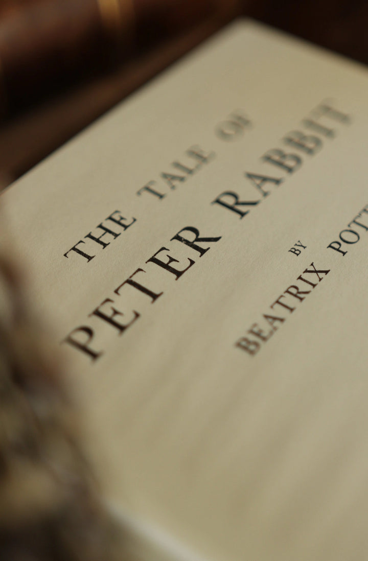 The Tale Of Peter Rabbit Journal