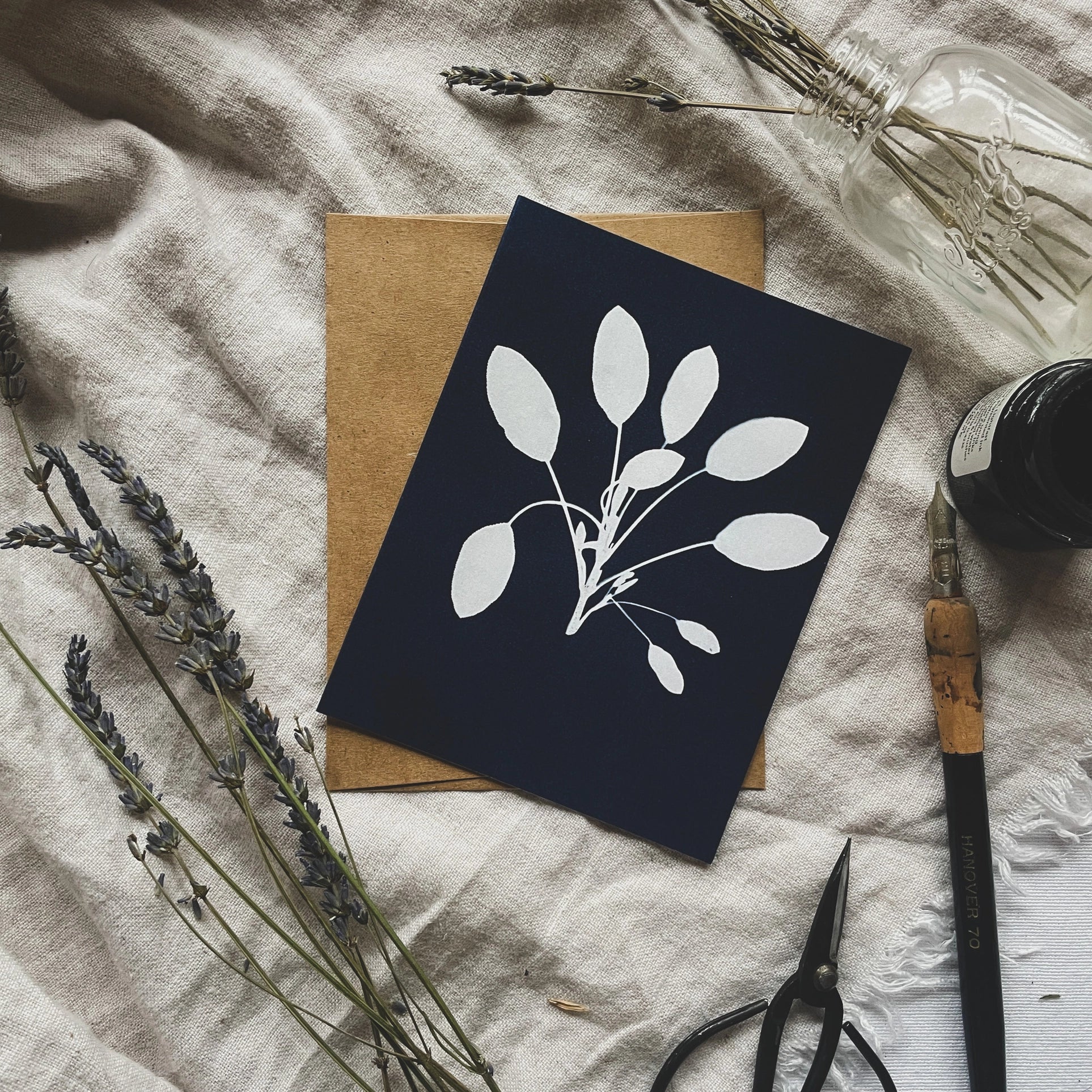Herbs - Botanical Cyanotype Cards Boxed Set