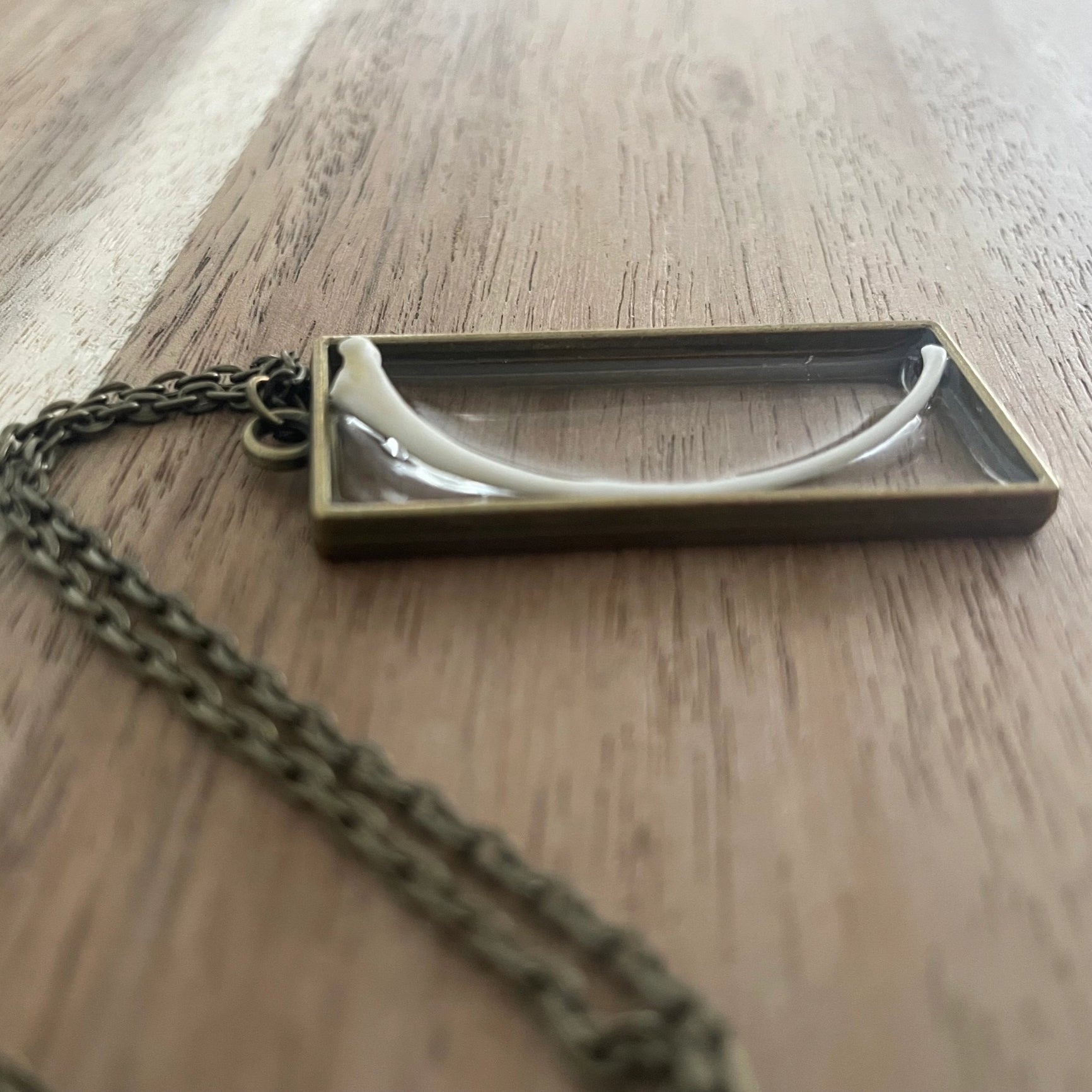 Ball Python Snake Rib Bone Necklace