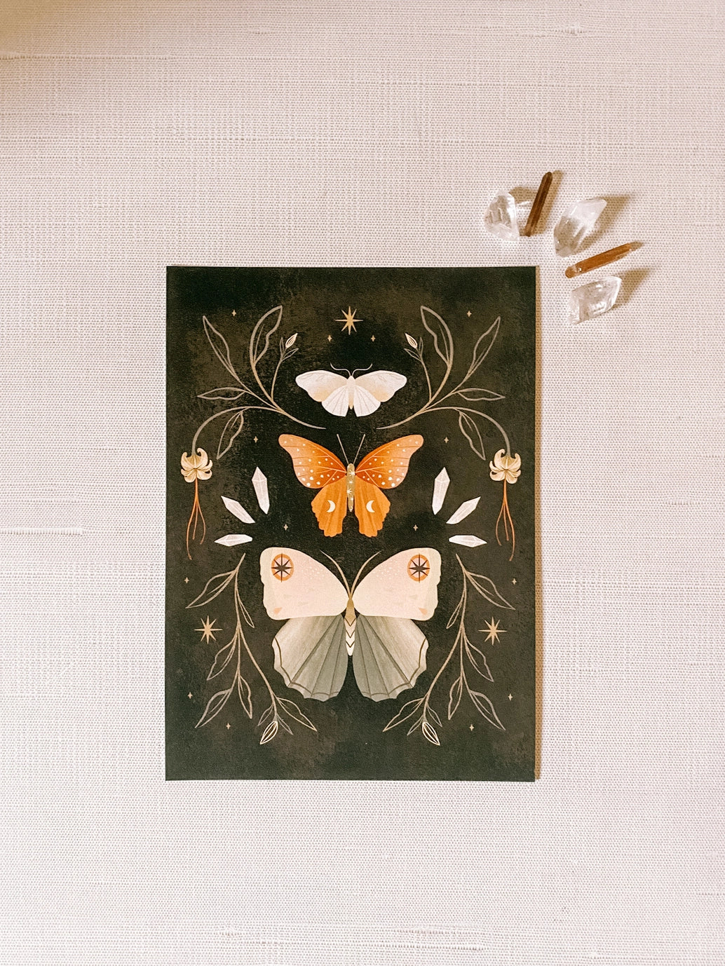 The Moth Collector Print