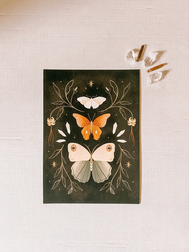 The Moth Collector Print