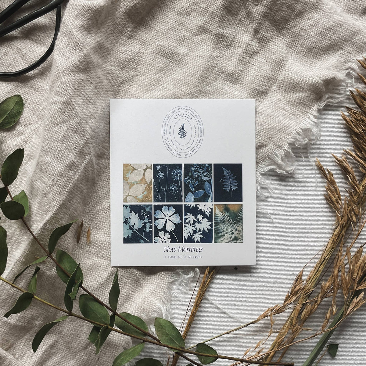 Slow Mornings - Botanical Cyanotype Cards Boxed Set