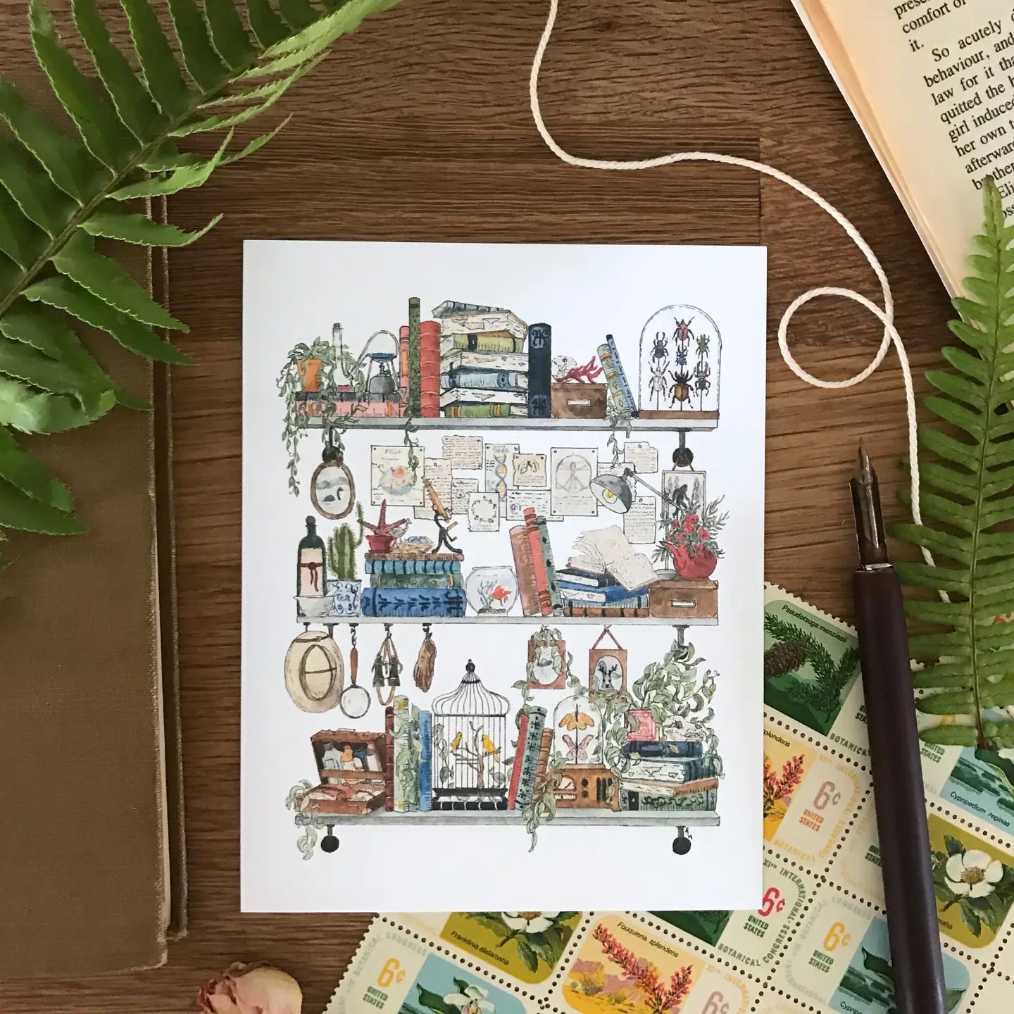 Shelves of Whimsical Occupations Postcards - 24 Options