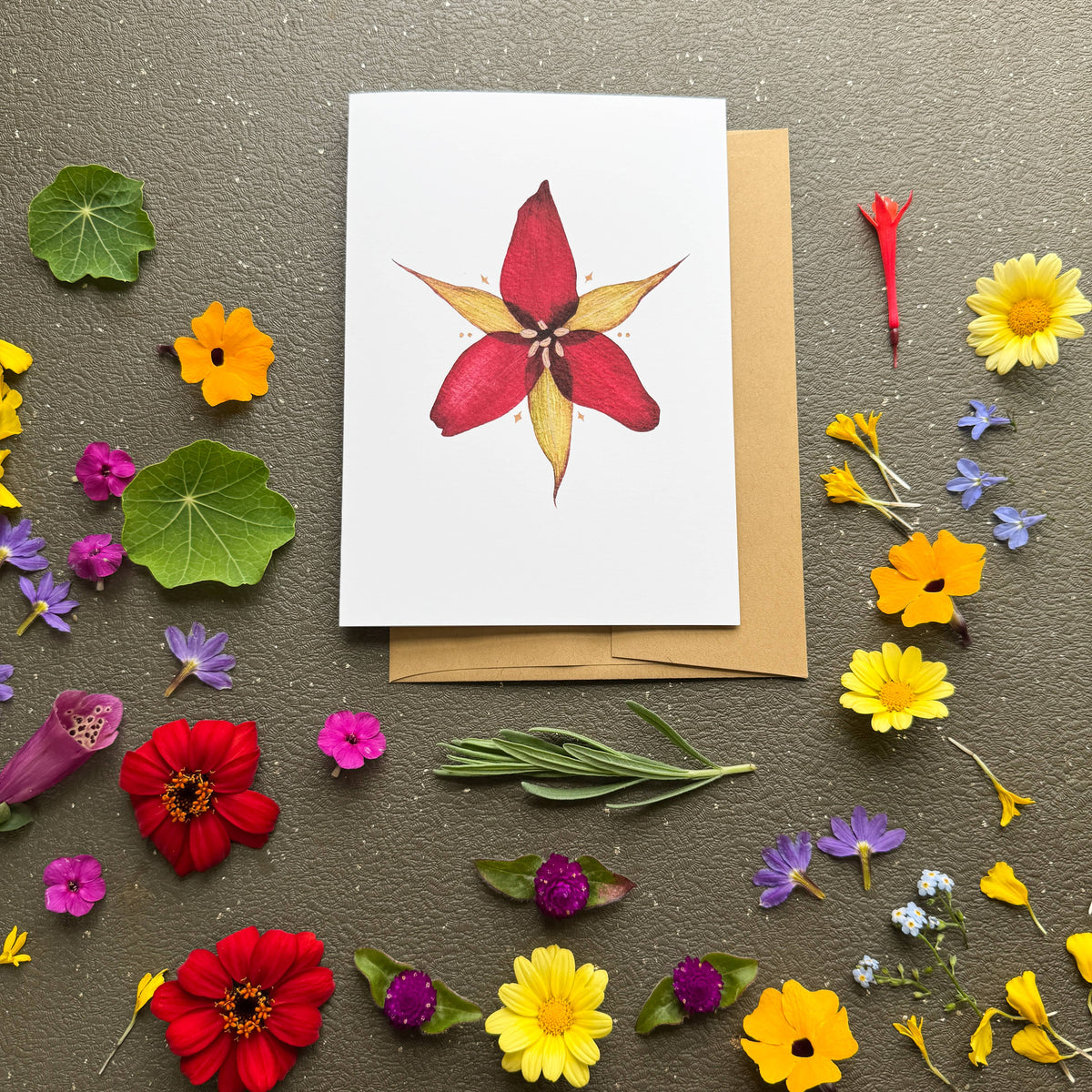 Trillium Card