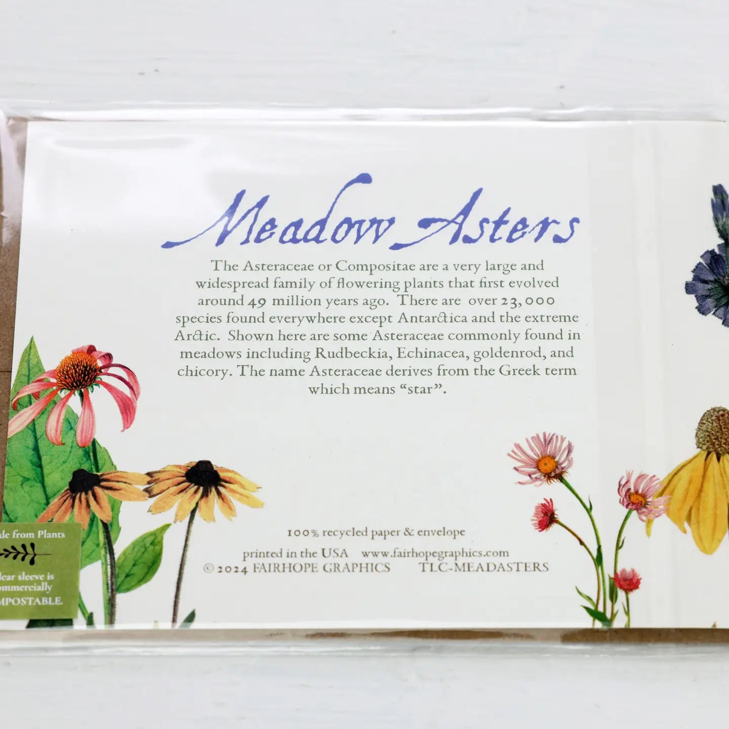 Meadow Asters History Card