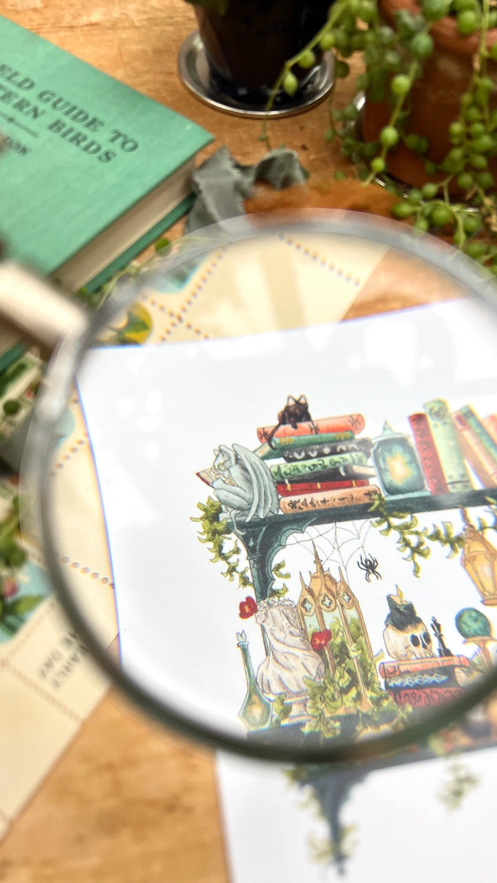 The Gothic Witch's Shelves Postcard