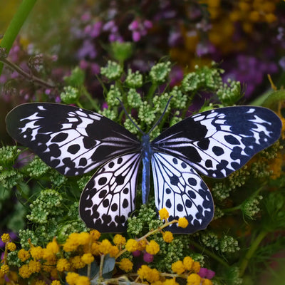 Marble Paper Butterfly set