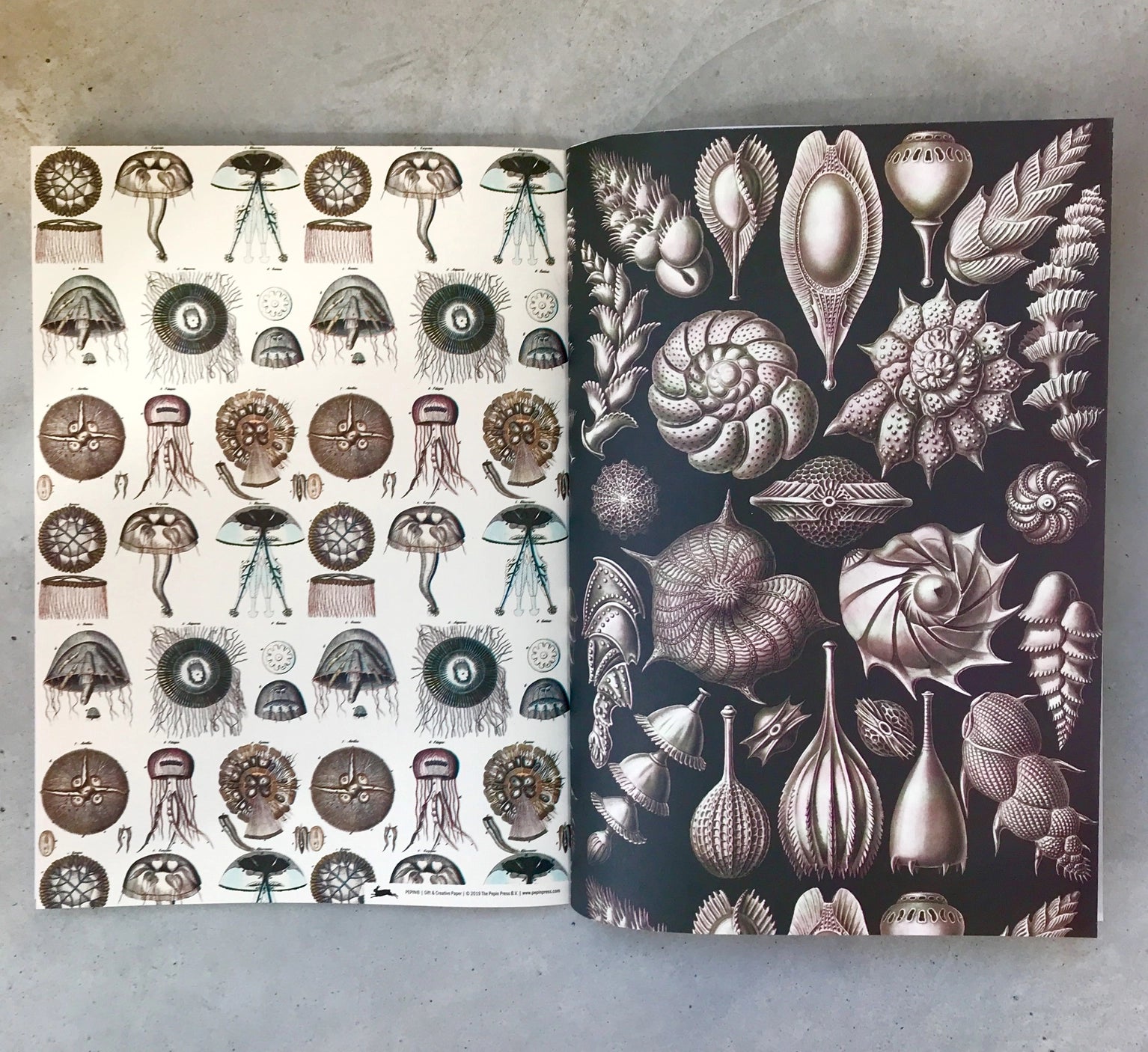 Marine Gift & Creative Paper Book - Vol. 89