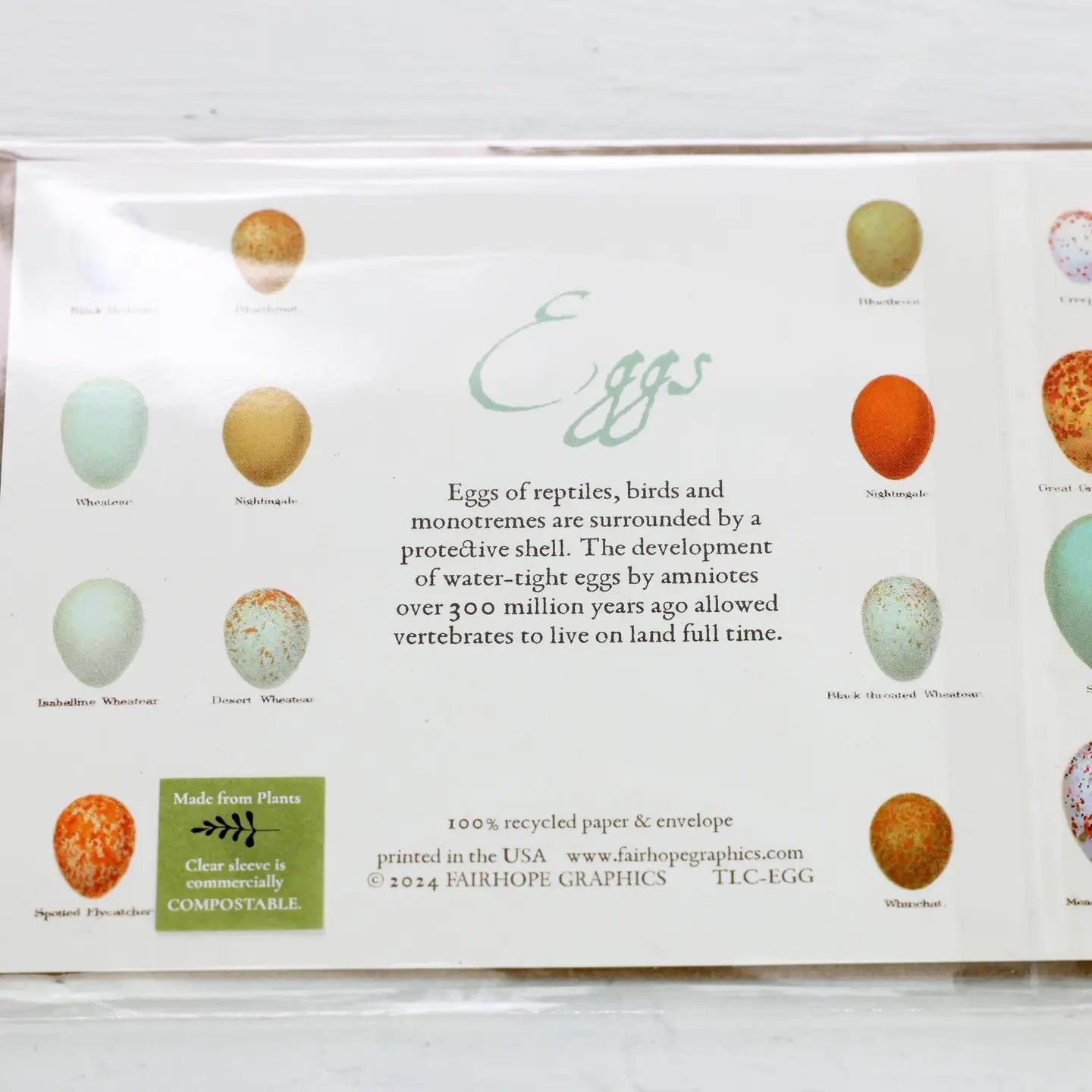 Eggs History Card