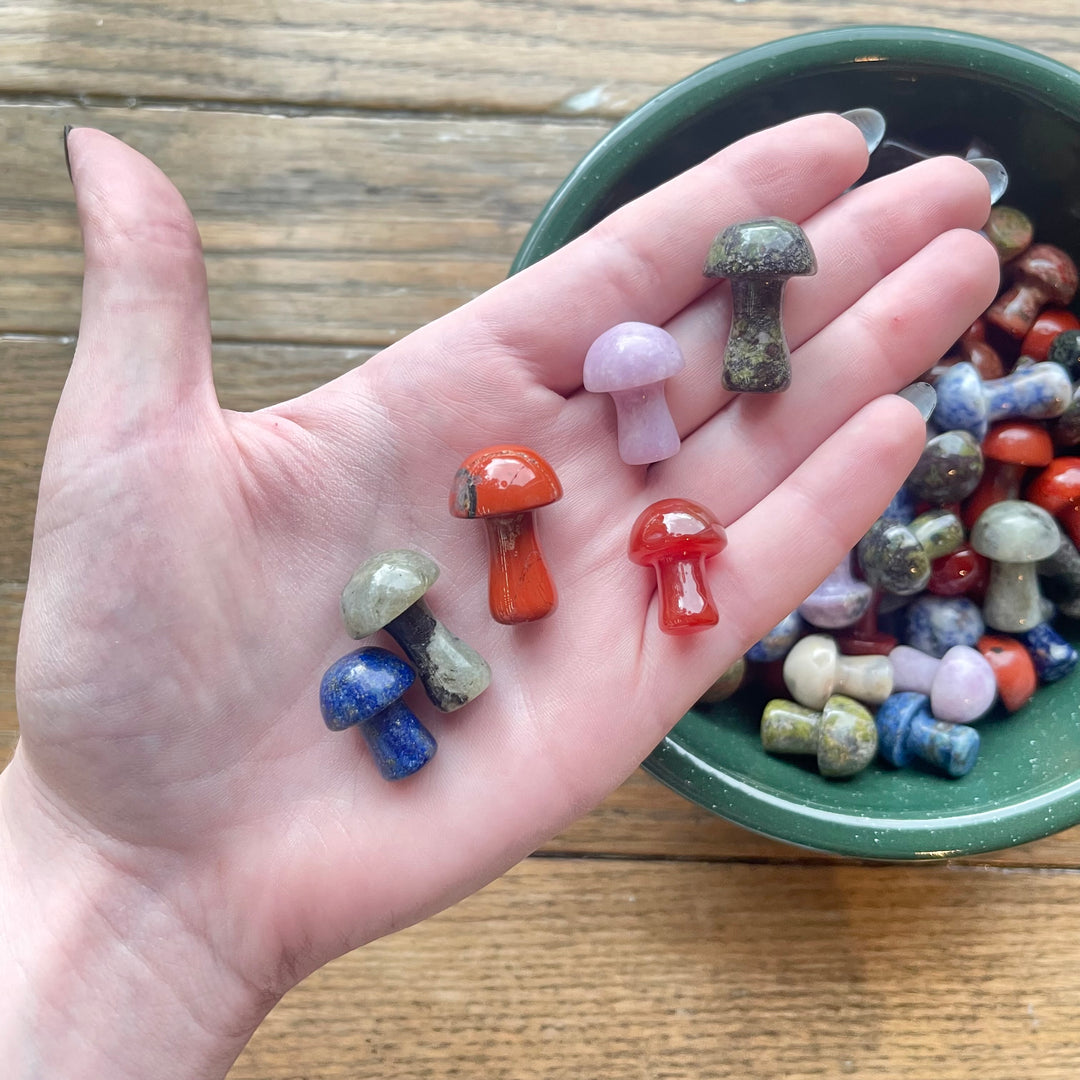 Mystery Crystal Mushrooms