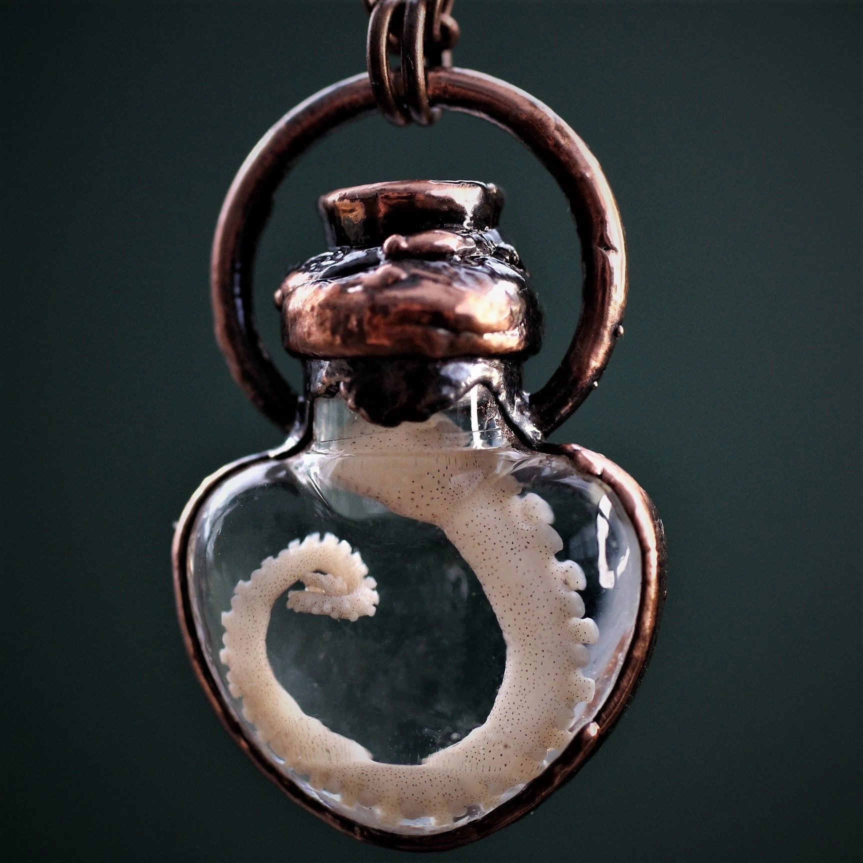Octopus Tentacle Wet Specimen Necklace