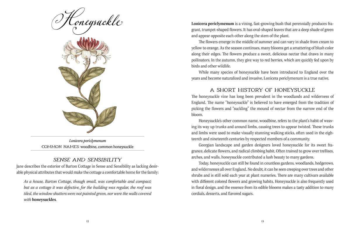 Jane Austen's Garden Book