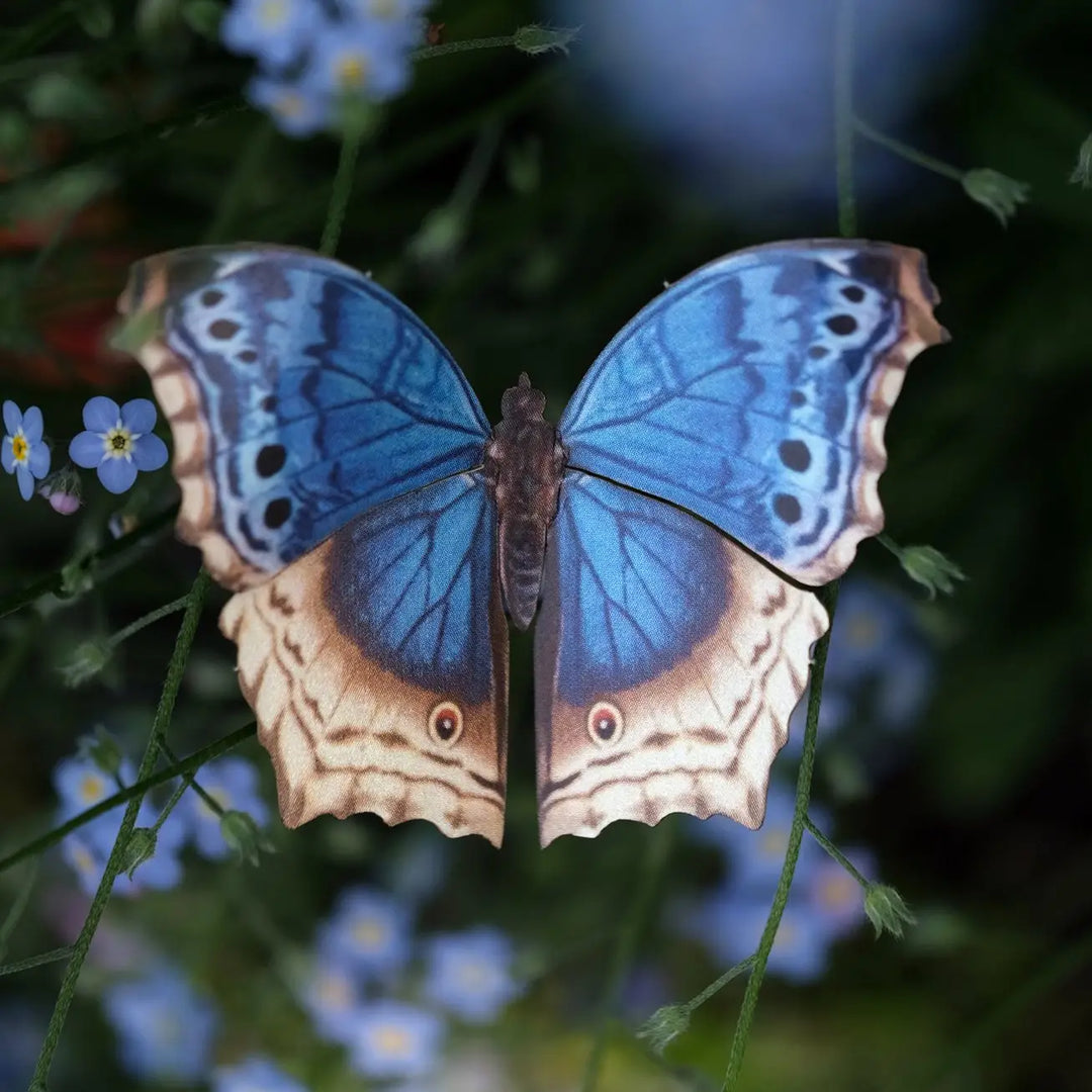 Lupine Paper Butterfly set