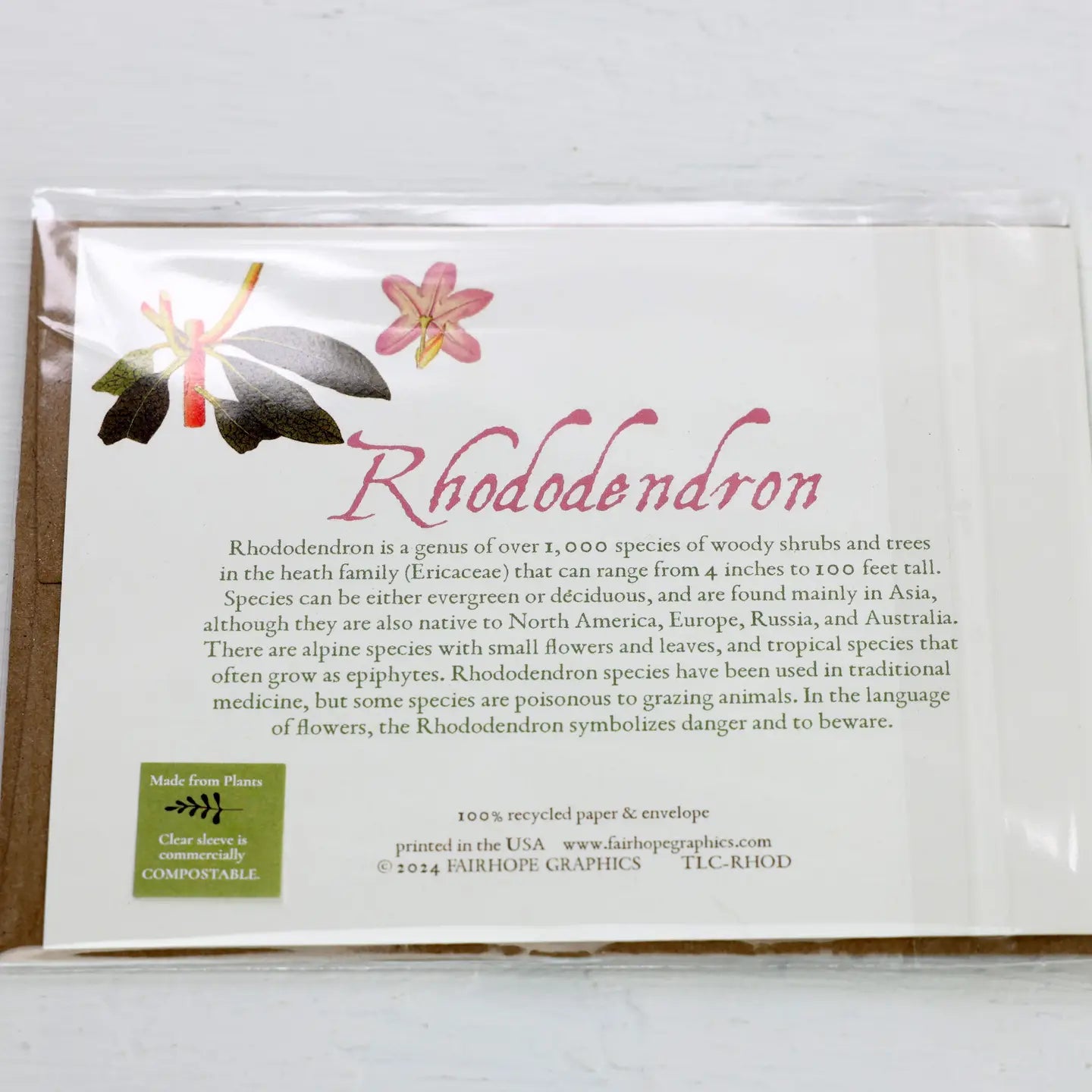 Rhododendron History Card