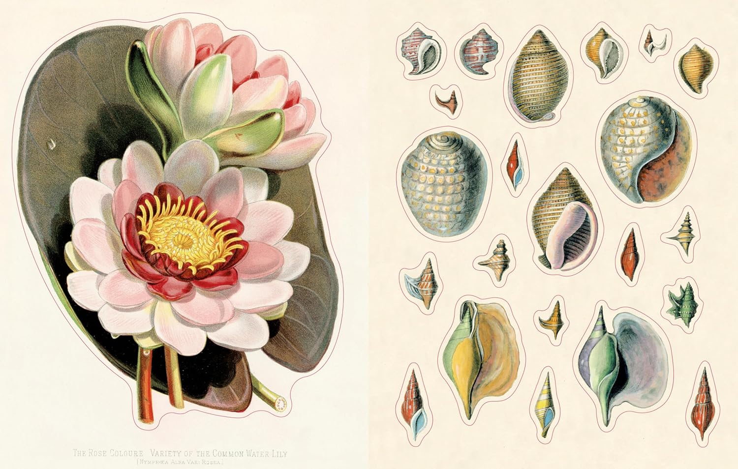 John Derian Sticker Book - Volume 2