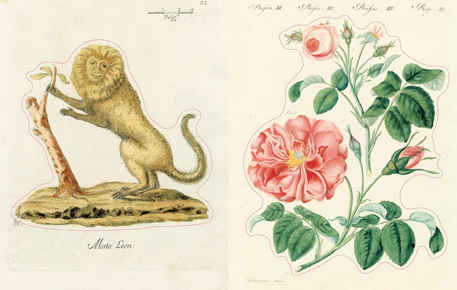 John Derian Sticker Book - Volume 2