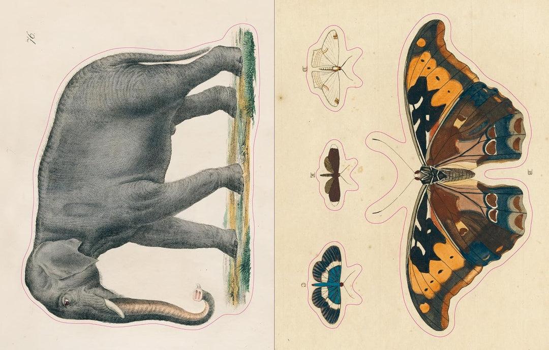 John Derian Sticker Book - Volume 1