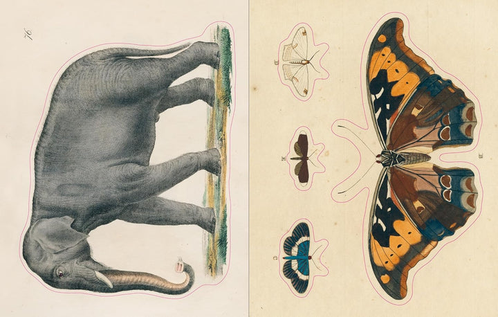 John Derian Sticker Book - Volume 1