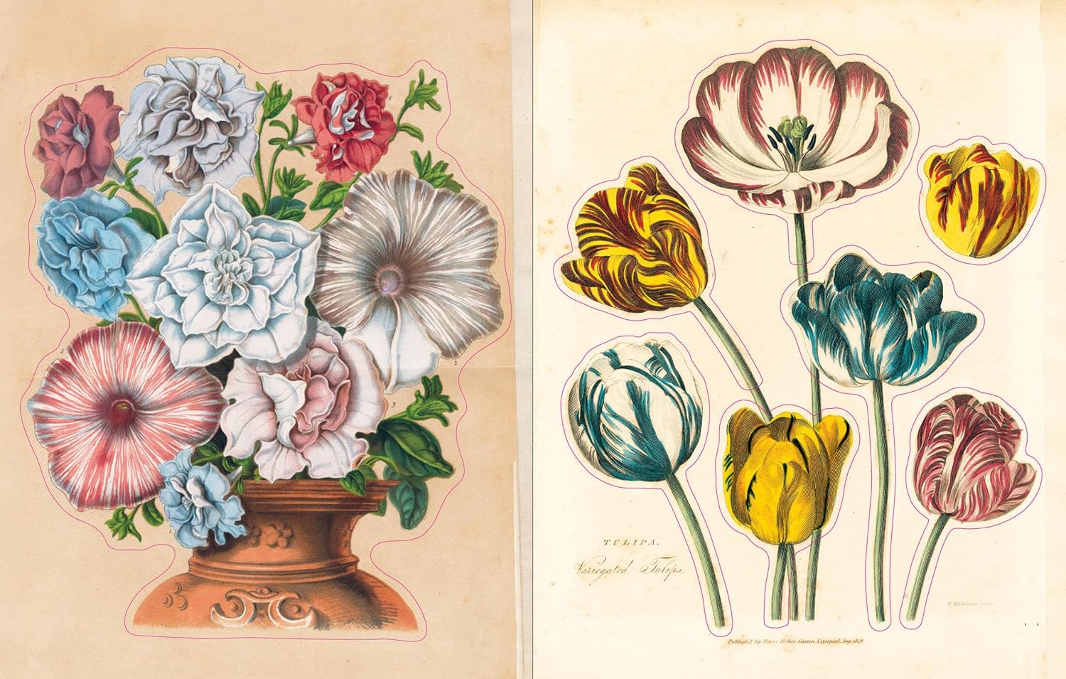 John Derian Sticker Book - Volume 1