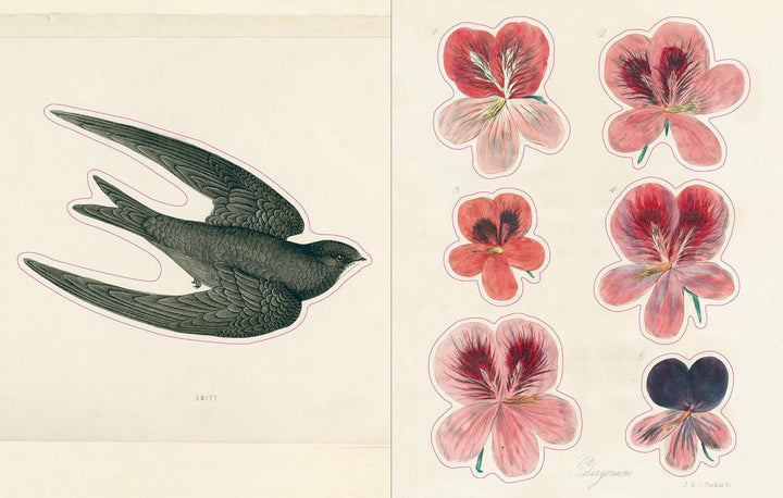 John Derian Sticker Book - Volume 1