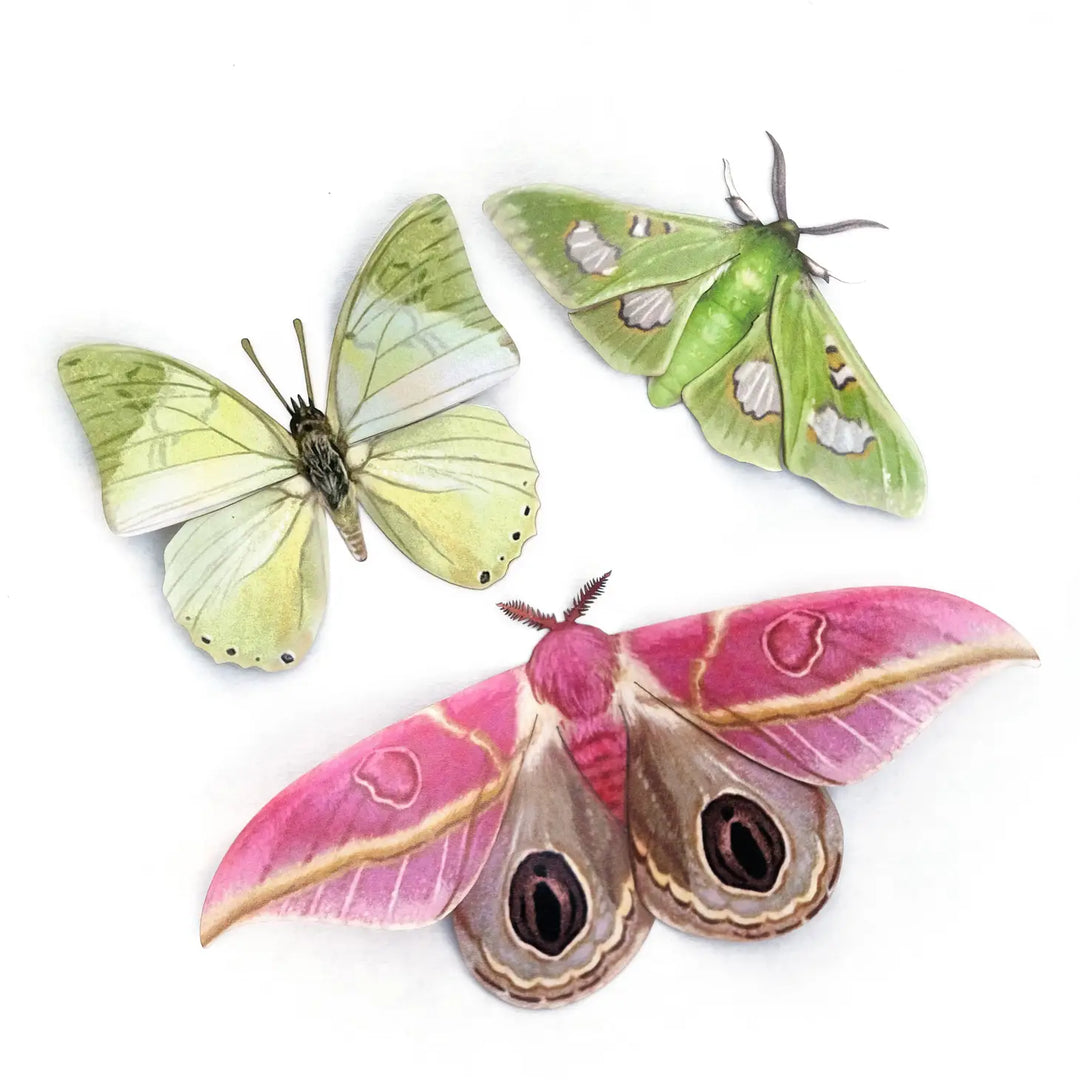 Limelight Paper Moth set