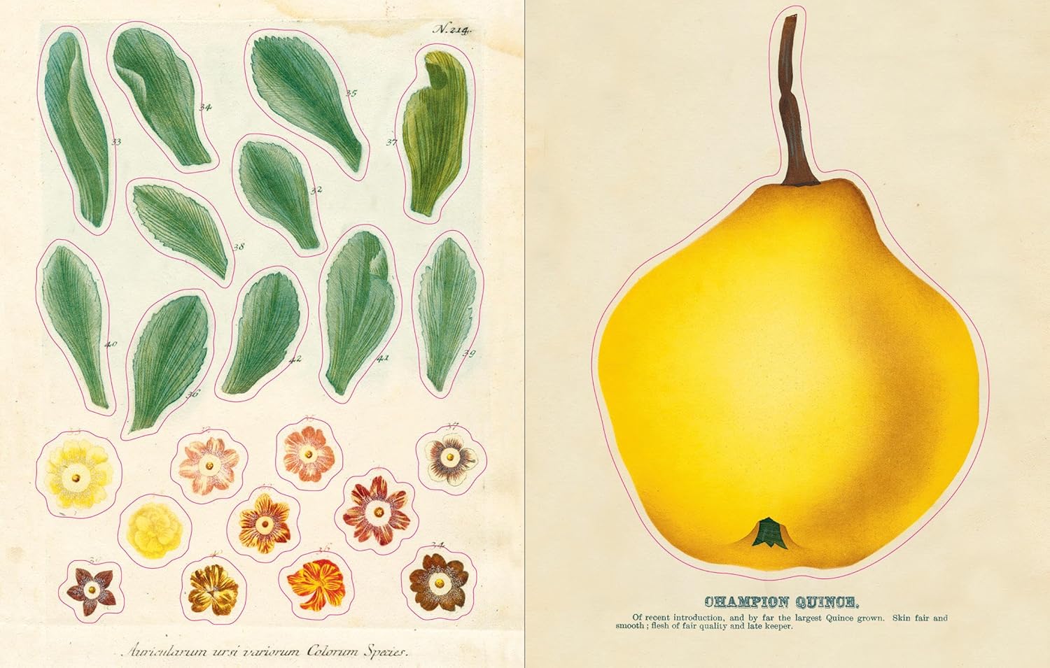 John Derian Sticker Book - Volume 1