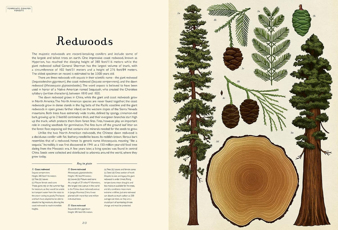Arboretum Jumbo Welcome to the Museum Book
