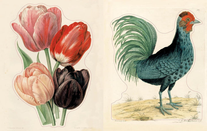 John Derian Sticker Book - Volume 2