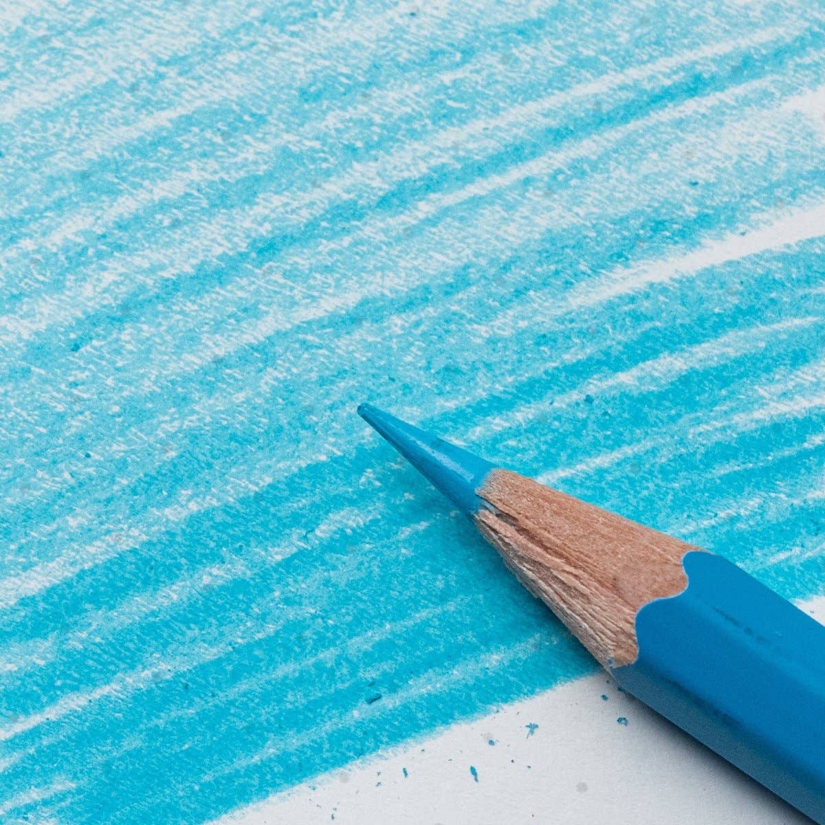 Blackwing Blue Pencil Set - Set of 6