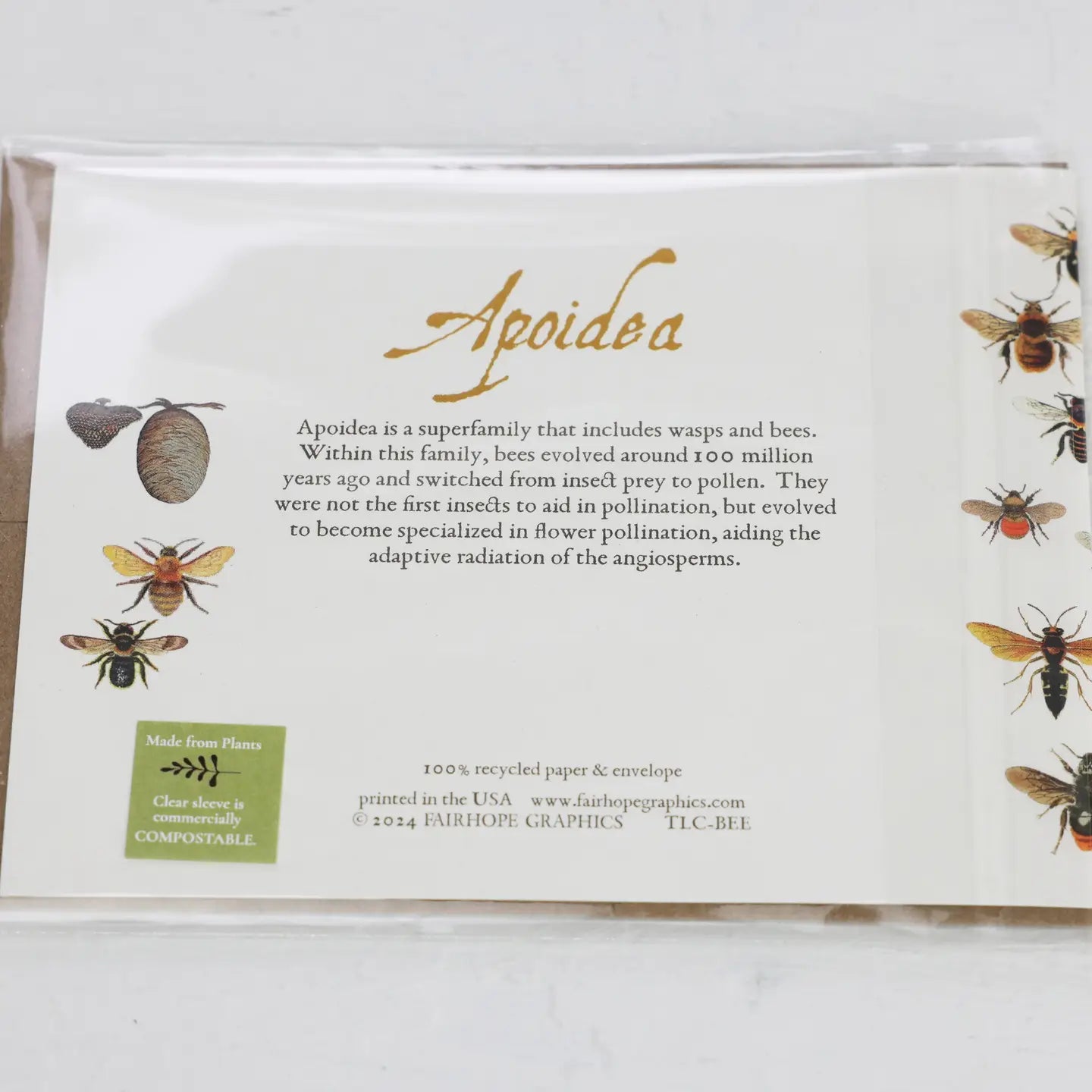 Bees History Card