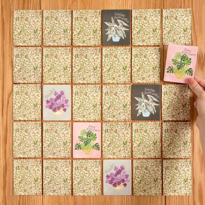 Houseplants Memory Game