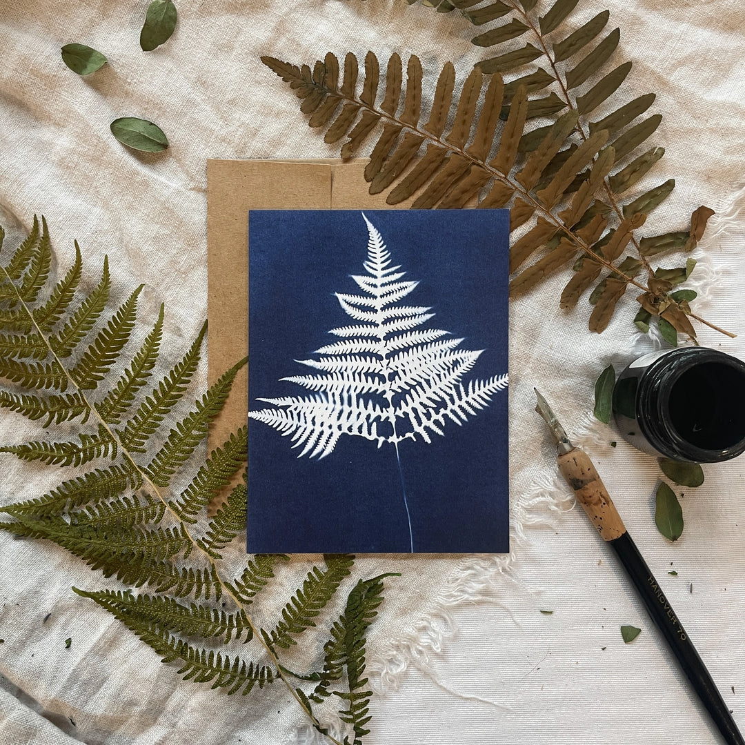 Ferns - Botanical Cyanotype Cards Boxed Set