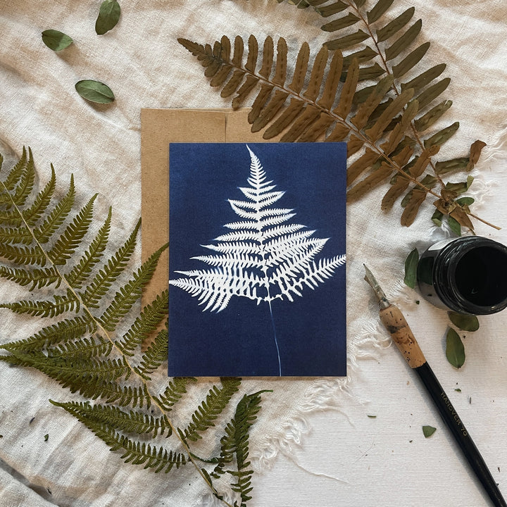 Ferns - Botanical Cyanotype Cards Boxed Set
