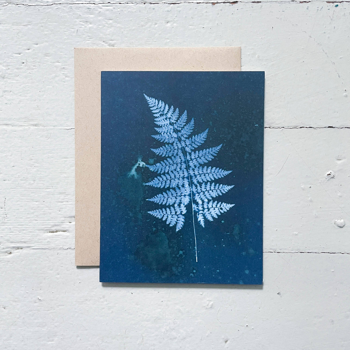 Slow Mornings - Botanical Cyanotype Cards Boxed Set