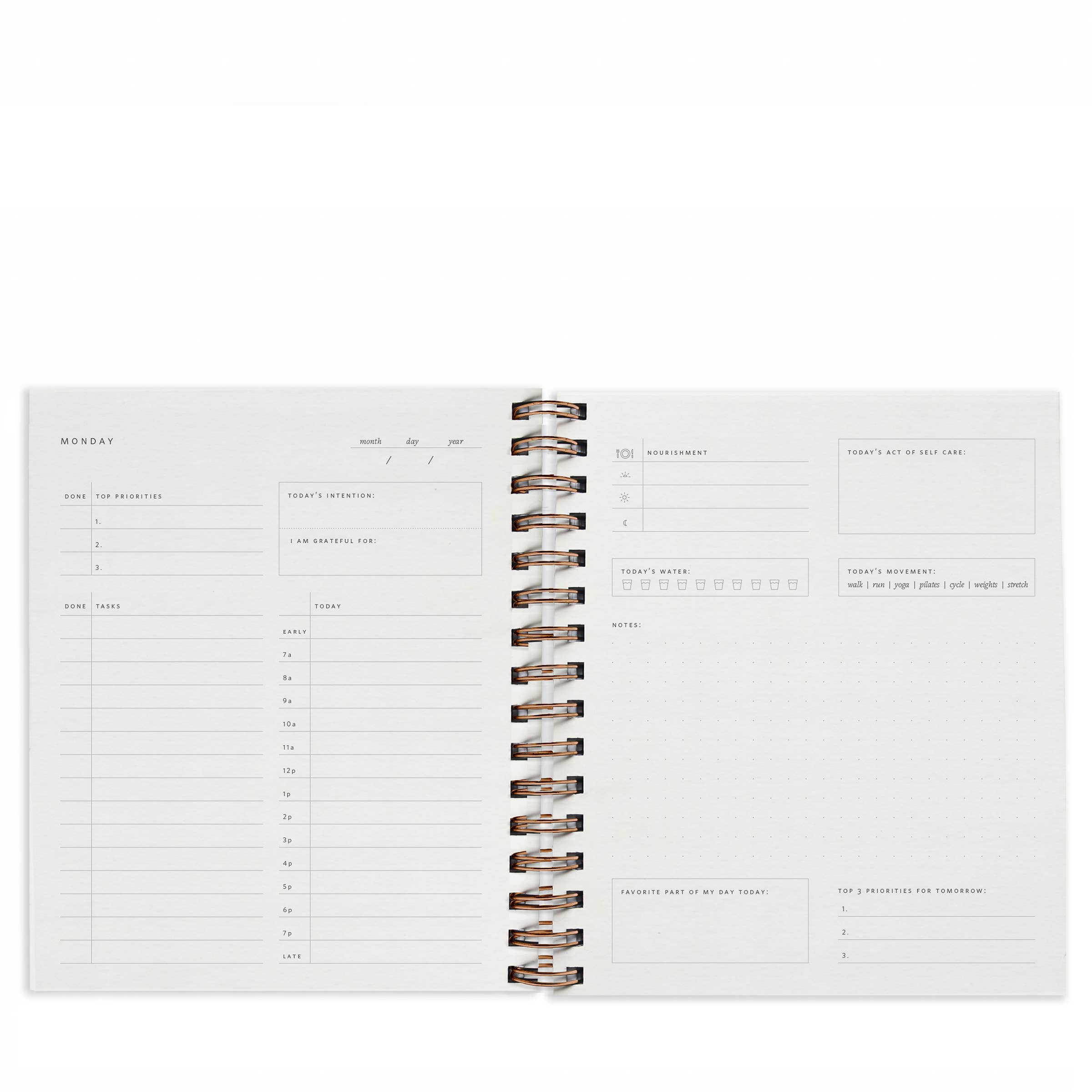 Quarterly Overview Undated Planner - 2 Colors